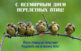 Интерактивная викторина «День перелетных птиц».